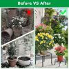 4Packs Iron Plotted Plant Stands Shelves Heavy Duty Round Flower Pot Holder Rack Home Yard Garden Patio DÃ©cor